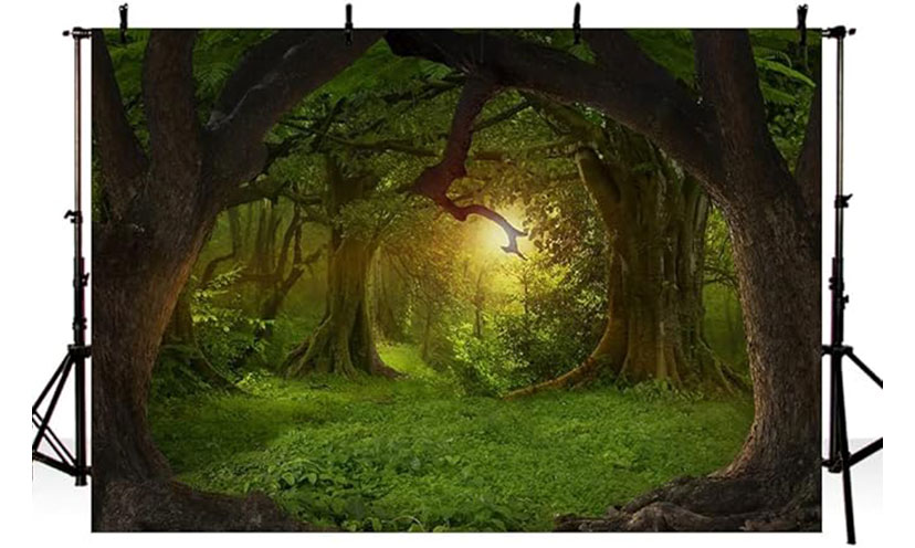 Fairytale Forest backdrop from Amazon