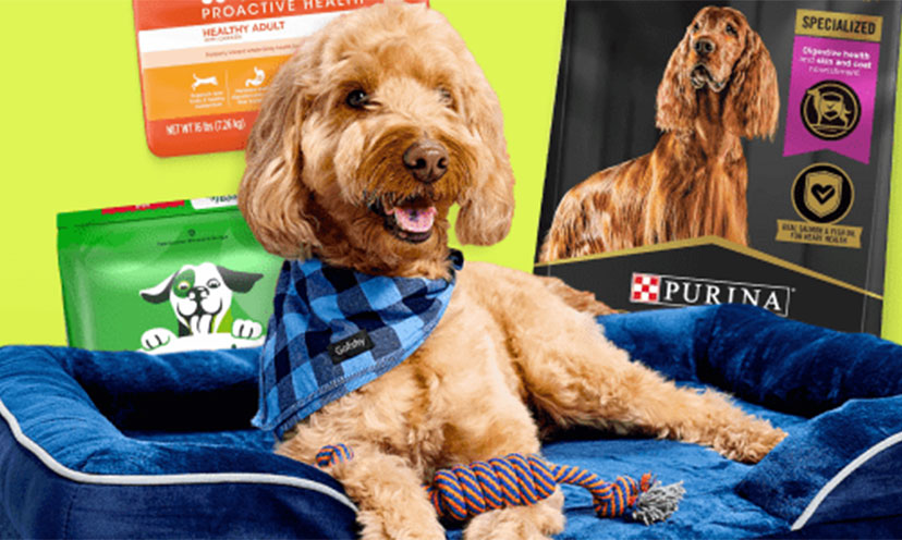 Image from Amazon's pet sale