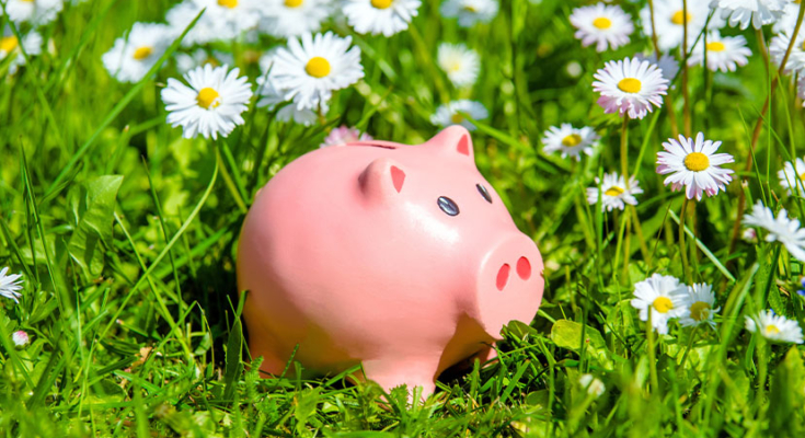 A piggy bank in a field with flowers