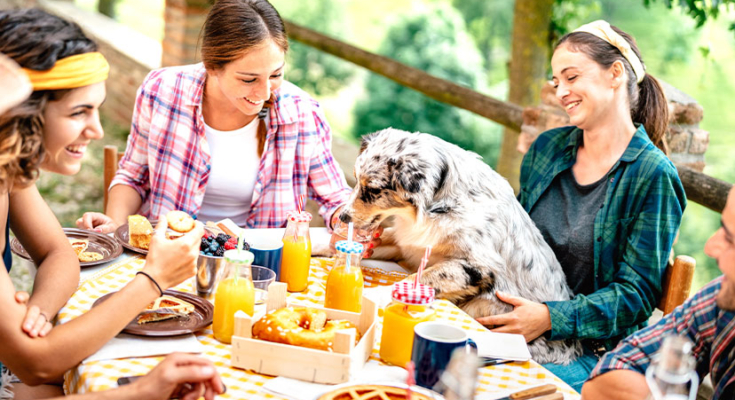 Friends in backyard with breakfast foods on table