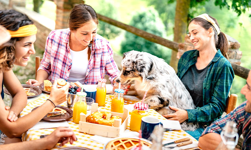 Friends in backyard with breakfast foods on table