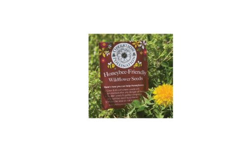 Image of Seed Packet