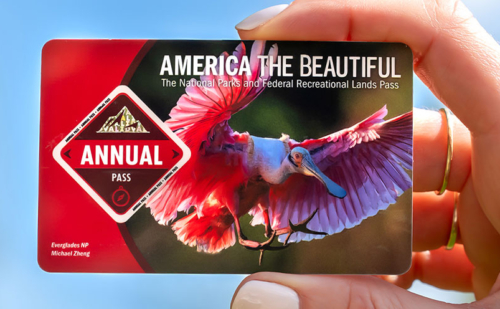 America the Beautiful Park pass in someone's hand