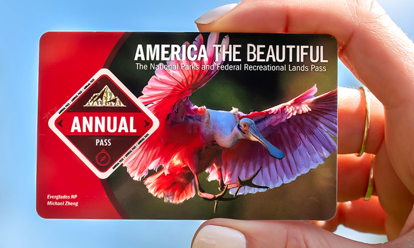 America the Beautiful Park pass in someone's hand