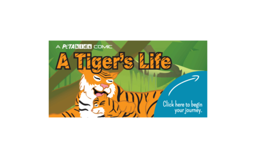 Image of a Comics from PETA Kids