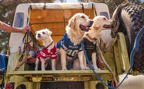 Post Featured Image