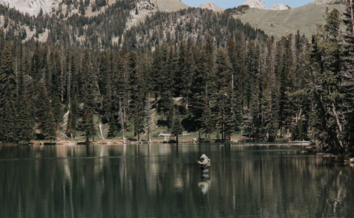 Post Featured Image